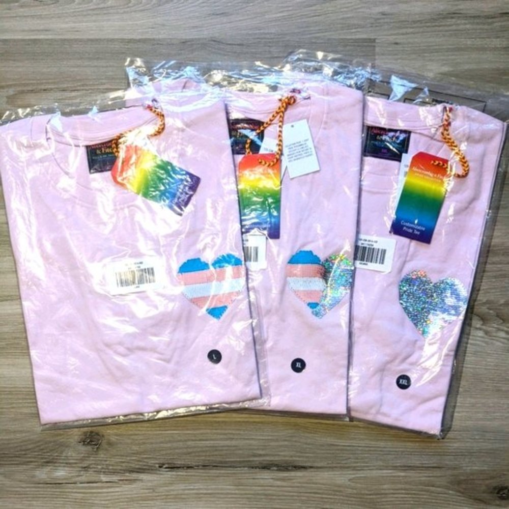 Abercrombie & Fitch Pride Tee Shirt Crop Top LGBTQIA+ XL Trans Flag Pink New